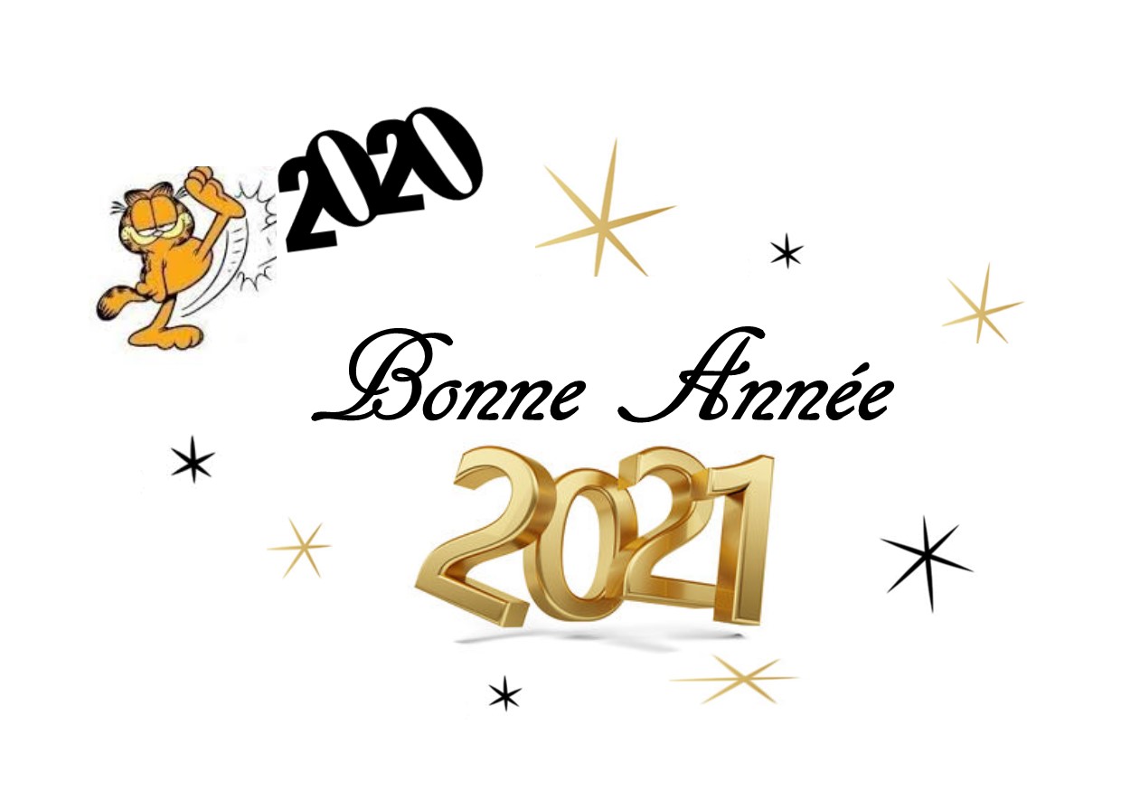 Bonne année 2021