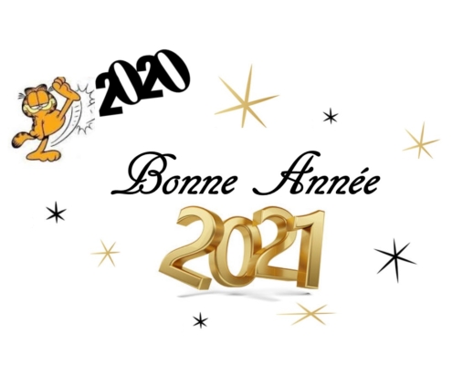 Bonne année 2021