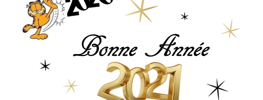 Bonne année 2021